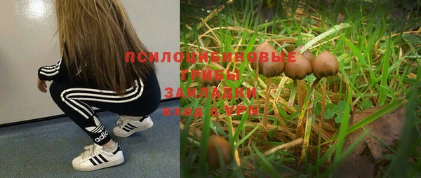 дмт Беломорск