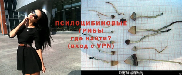 дмт Беломорск