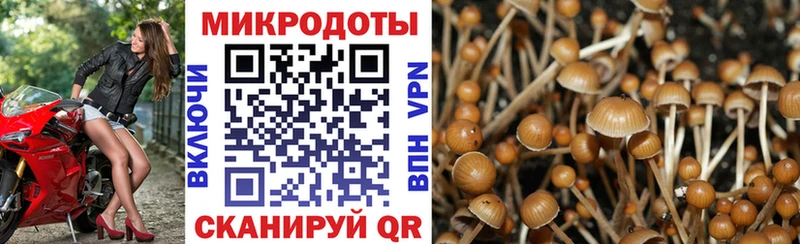 Псилоцибиновые грибы MAGIC MUSHROOMS  Черемхово 