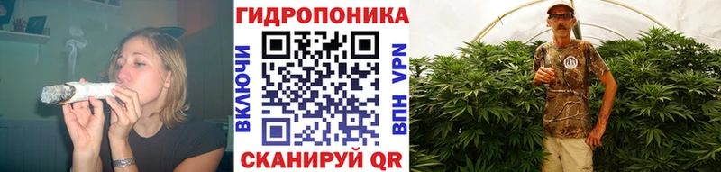 Каннабис гибрид  Черемхово 